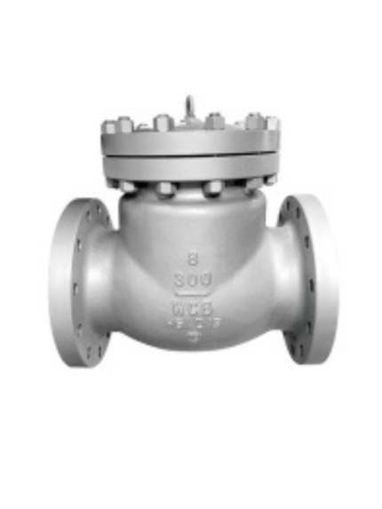 Check Valve